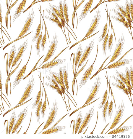 Endless seamless pattern design with wheat cereals plants, vector illustration. 84419556