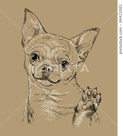 Chihuahua dog vector hand drawing vector brown Chihuahua dog vector hand drawing vector brown 84421083
