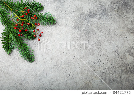 Christmas fir tree branch and red berries background 84421775