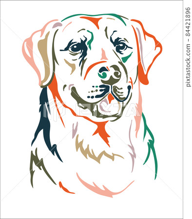 Pit Lab Dogs Vector Lab Dog Vector