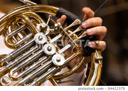 Philharmonist or musician playing to the french horn by the concert Philharmonist or musician playing to the french horn by the concert 84422370