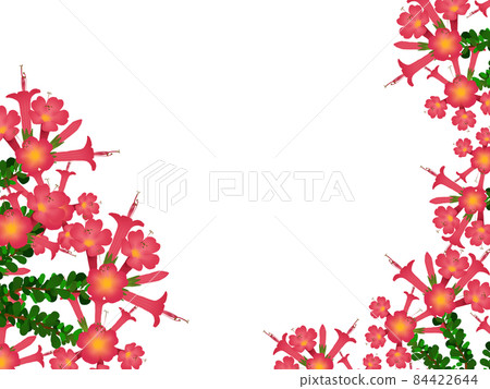 Cantuta 花框 Cantuta 花框 84422644