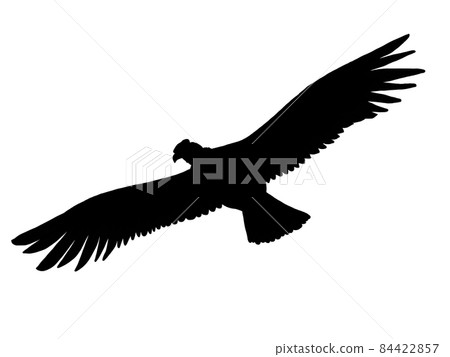 Flying condor silhouette illustration 84422857