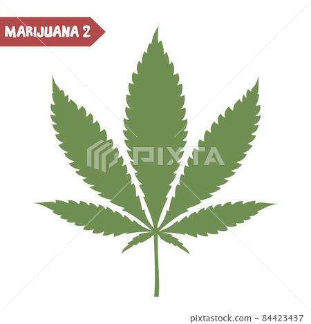 Cannabis leaf isolated on white background. 84423437