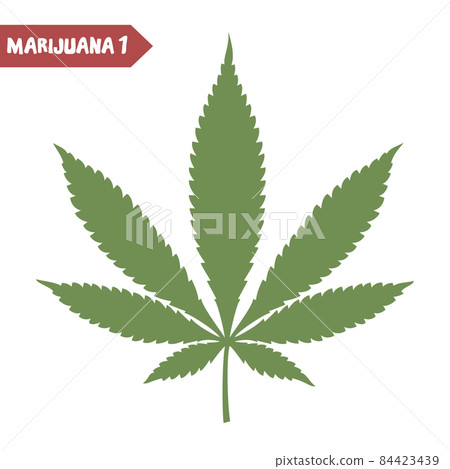 Cannabis leaf isolated on white background. 84423439