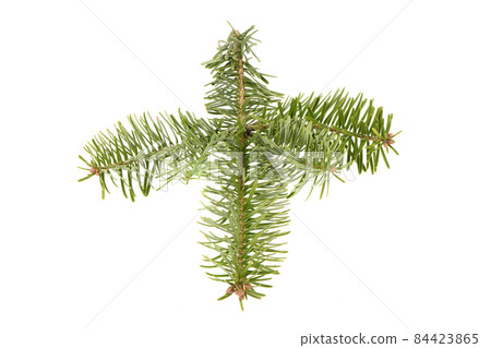Spruce branch isolated on white background. High resolution photo. Spruce branch isolated on white background. High resolution photo. 84423865