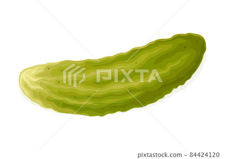 Pickled Cucumber or Gherkin Isolated on White Background Vector Illustration Pickled Cucumber or Gherkin Isolated on White Background Vector Illustration 84424120