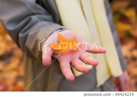 Close-up of a child's hand. Child in autumn clothes. There is an autumn leaf in my hand Close-up of a child's hand. Child in autumn clothes. There is an autumn leaf in my hand 84424224