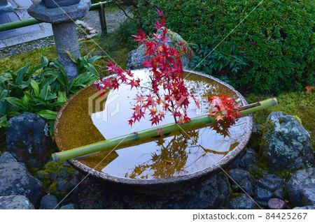 The Suikinkutsu of Enkoji Temple in Kyoto City, which I visited in the early morning of Kinshu in 2021, is cute. 84425267