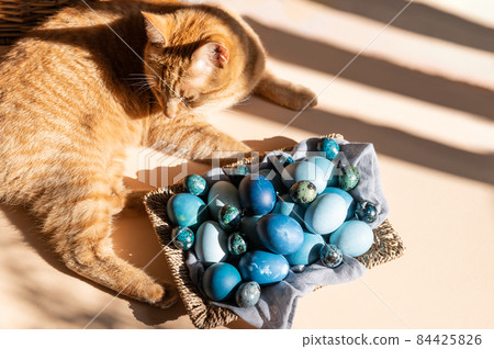 Homemade naturally dyed eggs in blue colors Homemade naturally dyed eggs in blue colors 84425826