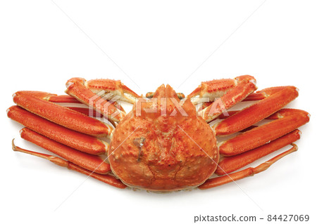 Boyle snow crab 84427069