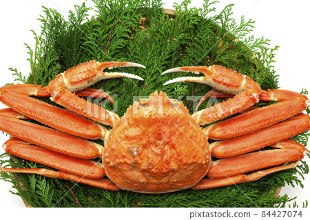 博伊爾雪蟹 博伊爾雪蟹 84427074