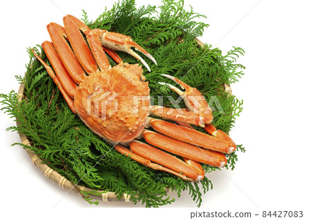 博伊爾雪蟹 博伊爾雪蟹 84427083