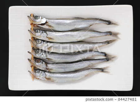 毛鱗魚 毛鱗魚 84427481