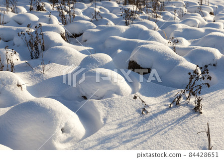 grass in large drifts after snowfalls and blizzards, the winter grass in large drifts after snowfalls and blizzards, the winter 84428651