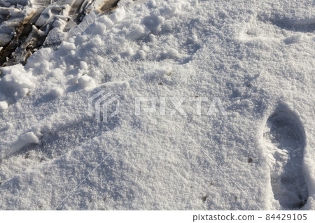 winter cold weather after the snowfall with plants 84429105