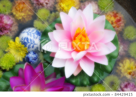 [行田花水週]行田市花水 84429415
