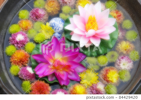 [行田花水週]行田市花水 84429420