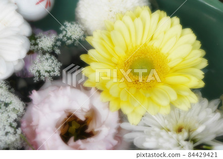 [行田花水週]行田市花水 84429421