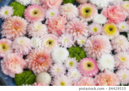 【行田花水週】行田八幡神社花水 【行田花水週】行田八幡神社花水 84429533