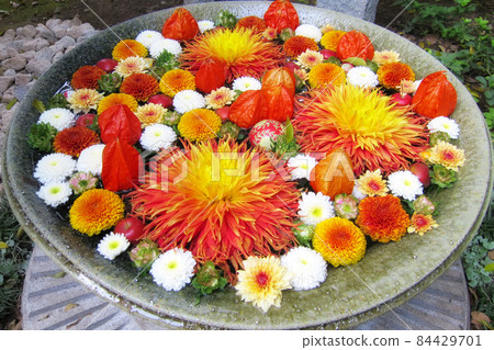 【行田花水週】行田八幡神社花水 84429701