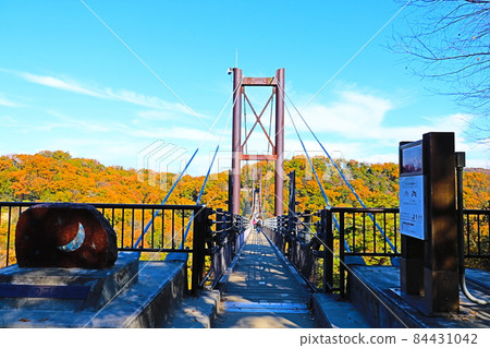 Osaka Hoshi no Buranko 84431042