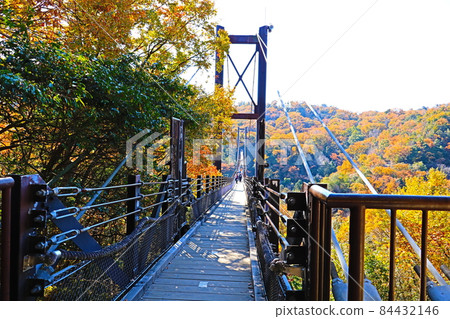 Osaka Hoshi no Buranko 84432146