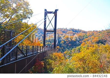 Osaka Hoshi no Buranko Osaka Hoshi no Buranko 84432148