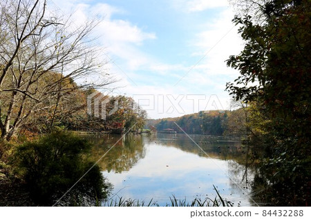 療愈秋色,漫步湖畔 療愈秋色,漫步湖畔 84432288