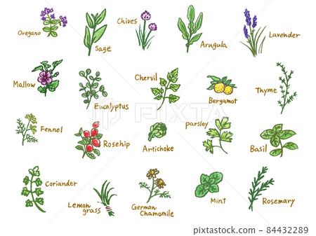 草本插圖集 84432289