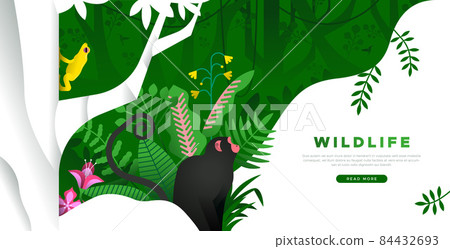 Wildlife landing page template of jungle monkey Wildlife landing page template of jungle monkey 84432693