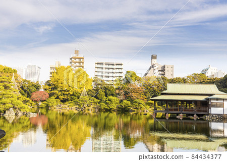 Autumn Kiyosumi Garden Autumn Kiyosumi Garden 84434377