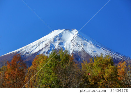 Araya, Fujiyoshida City, Yamanashi Prefecture Colored trees and Mt. Fuji from Fuji Walking Park 84434378