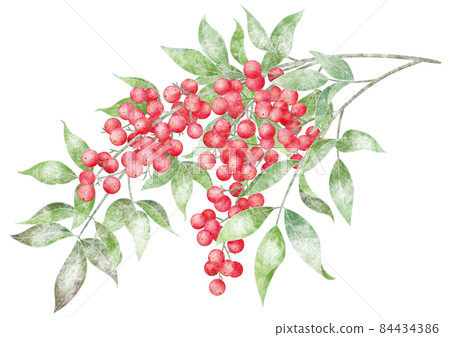 Snow red southern sky 84434386