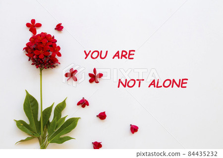 you are not alone message card with red flowers rubiaceae you are not alone message card with red flowers rubiaceae 84435232