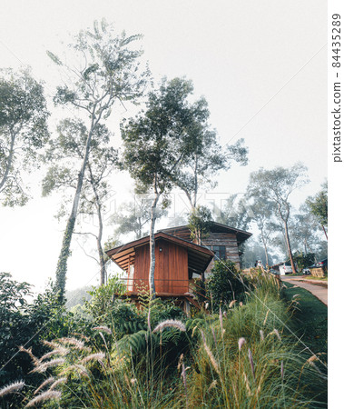 House on the hill in the foggy morning House on the hill in the foggy morning 84435289