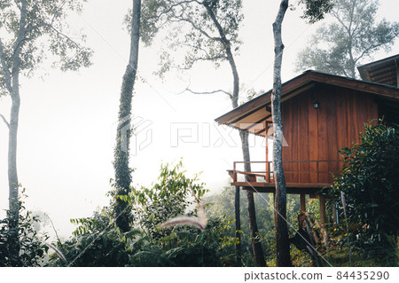 House on the hill in the foggy morning House on the hill in the foggy morning 84435290