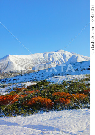 秋葉雪景_大雪山_全身鏡_立式 84435355
