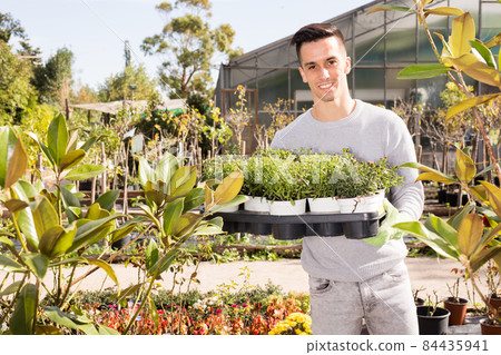 Gardener working in hothouse Gardener working in hothouse 84435941