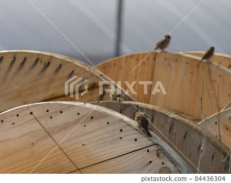 Stacked cable drums and sparrows Stacked cable drums and sparrows 84436304