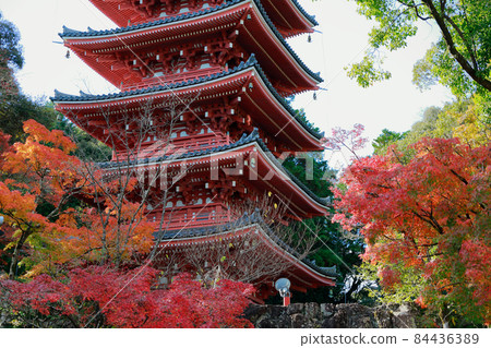 《Kochi Prefecture》 Chikurinji Temple / Five-storied Pagoda 84436389