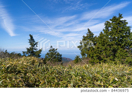 View from Odoi parking lot (Nishi-Izu Skyline) 84436975
