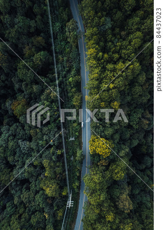 Drone view over a road through a forest 84437023