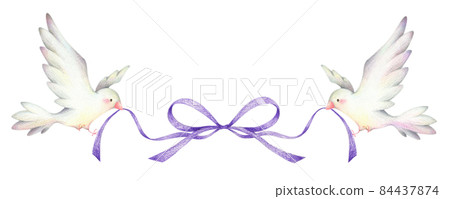 Two white birds with purple ribbons Hand-painted colored pencil drawings 84437874