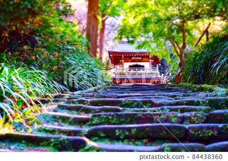 鎌倉五山第四大寺院,鎌倉古城城知寺的塔門和石階 鎌倉五山第四大寺院,鎌倉古城城知寺的塔門和石階 84438360