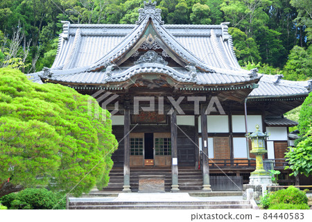 六月的修善寺，綠意盎然 84440583