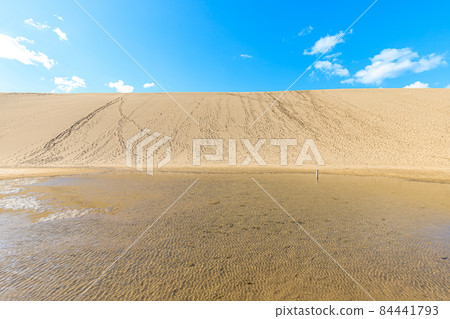 Tottori Sand Dunes in Autumn, Tottori City, Tottori Prefecture Tottori Sand Dunes in Autumn, Tottori City, Tottori Prefecture 84441793