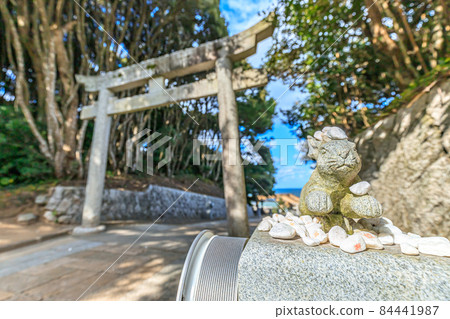 鳥取縣鳥取市的秋季白頭神社 84441987