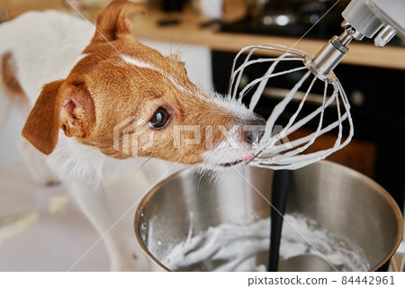 Dog lick electric kitchen mixer whisk Dog lick electric kitchen mixer whisk 84442961