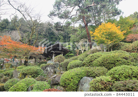 林善院秋葉 84443011